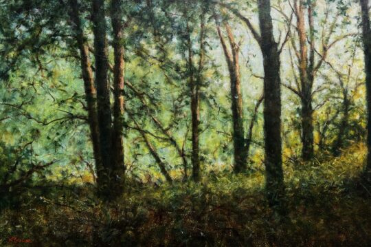 "Early Light" <br /> Oil, 24x36