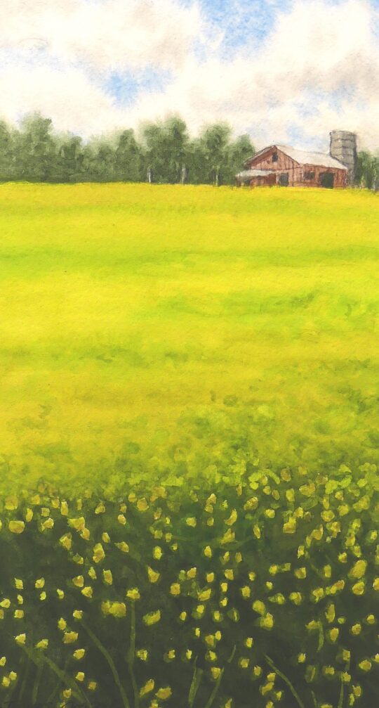 "Country Summer" <br /> Watercolor, 11x17