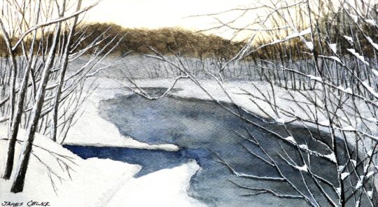 "Snow In Bloom" <br /> Watercolor, 10x14