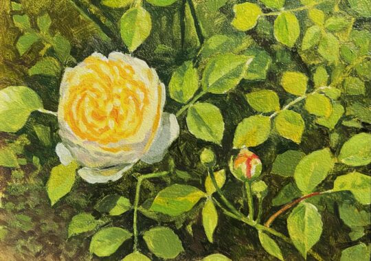 "Yellow" <br /> Oil, 6x8