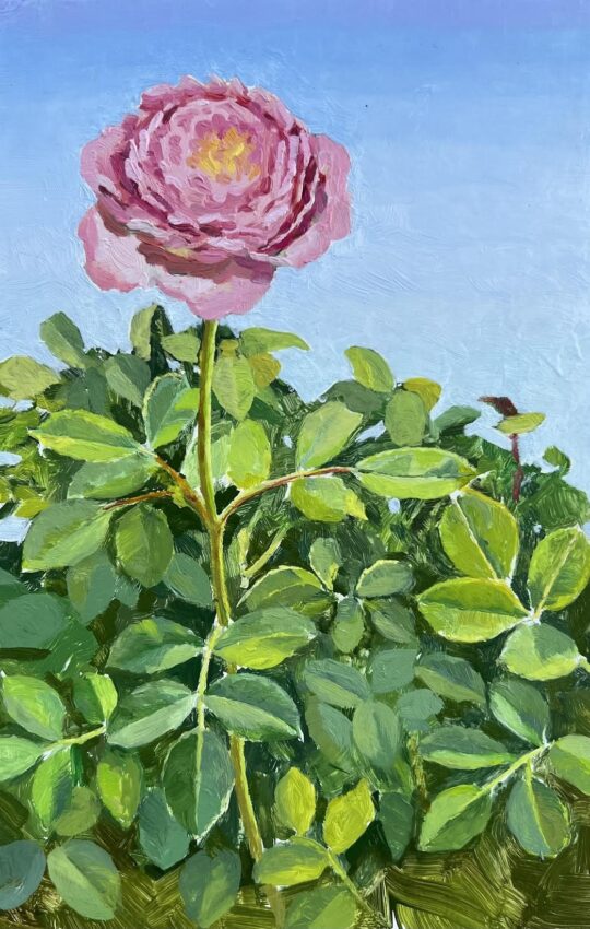 "Roses #2" <br /> Oil, 9x6