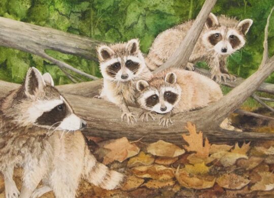 "C'mon" <br /> Watercolor, 16x20