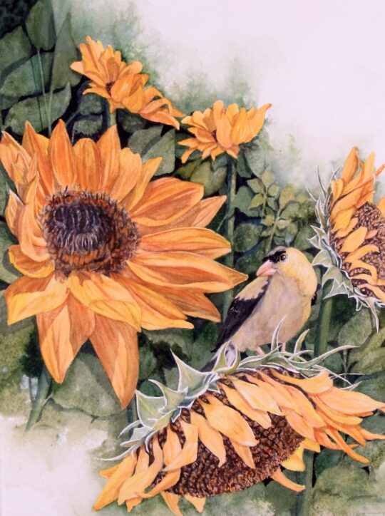 "Going Solar" <br /> Watercolor, 20x16