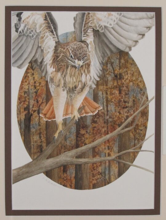 "Touchdown" <br /> Watercolor, 20x16