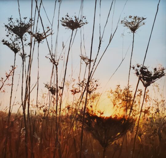 "Song Sung" <br /> Oil, 24x24