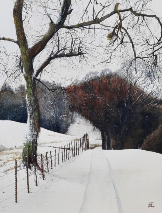 "Maysville Mistletoe" <br /> Watercolor, 24x18