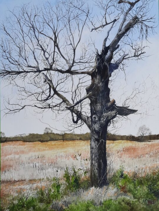 "Pythagorean Reality" <br /> Watercolor, 24x18