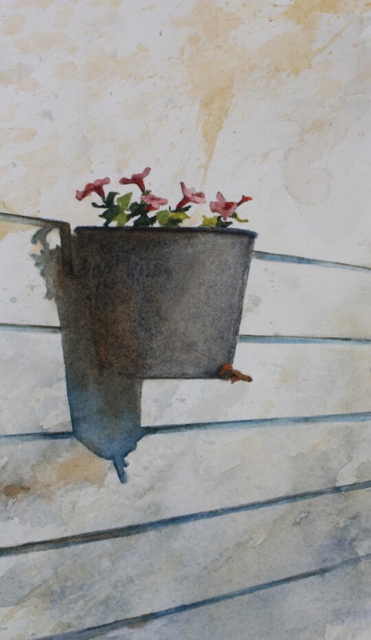 "Petunias" <br /> Watercolor, 10x6