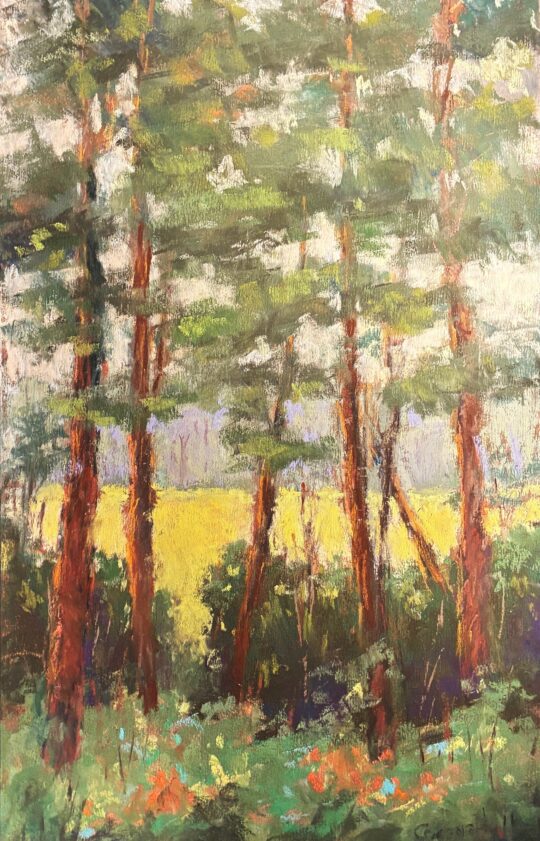 "Looking Out" <br /> Pastel, 16x10