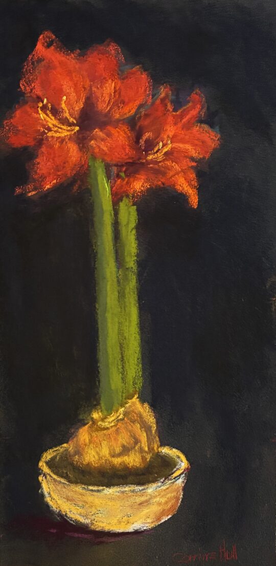 "Amaryllis Reds" <br /> Pastel, 16x8