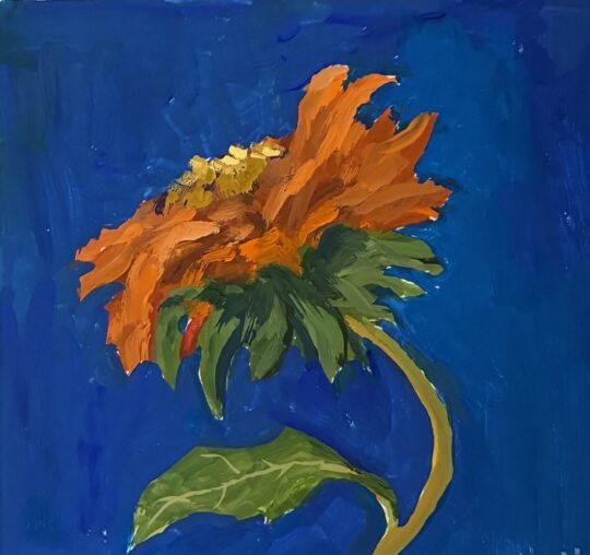 "Zinnia" <br /> Gouache, 6x6