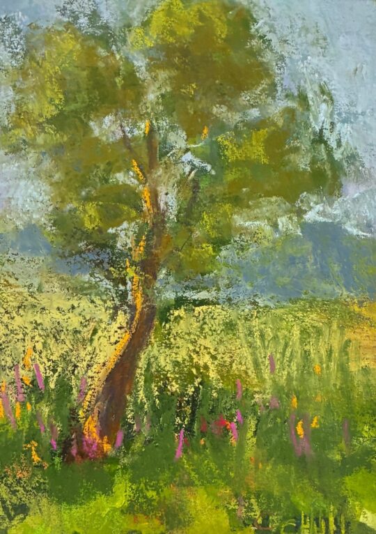 "Tree" <br /> Pastel, 8x6