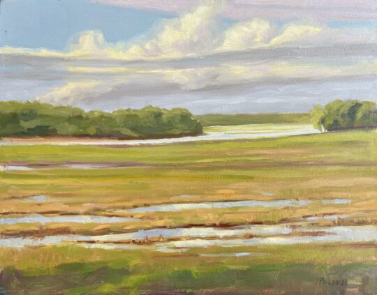 "Cloud Reflections" <br /> Oil, 11x14