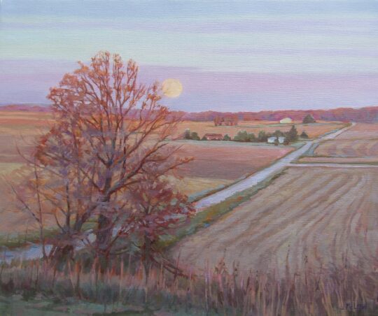 "Shine On" <br /> Oil, 20x24