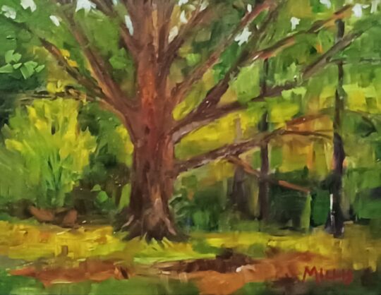 "Big Oak at Steele's" <br /> Oil, 12x16