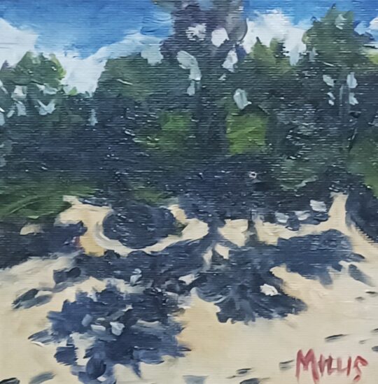 "Sunny Day at Dunes" <br /> Oil, 6x6