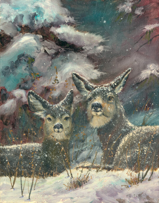 "Oh Dear" <br /> Oil, 14x11