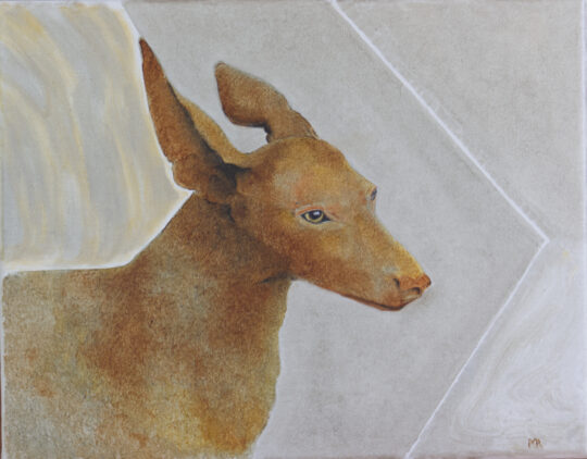 "Canine" <br /> Oil, 11x14