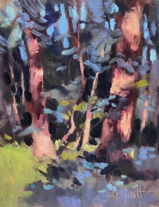 "Light & Shadows" <br /> Oil, 8x6