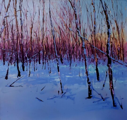 "Twilight Grove" <br /> Oil, 24x24