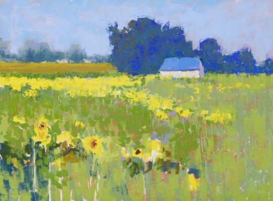 "Sunflowers" <br /> Pastel, 12x16