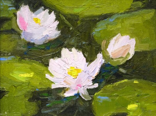 "Water Lilies" <br /> Oil, 8x10