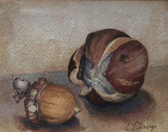 "Nuts" <br /> Watercolor, 6x6