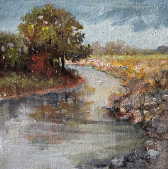 "Whitewater Reflections" <br /> Oil, 6x6
