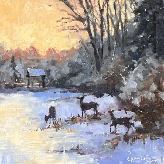 "After the Storm" <br /> Oil, 12x12