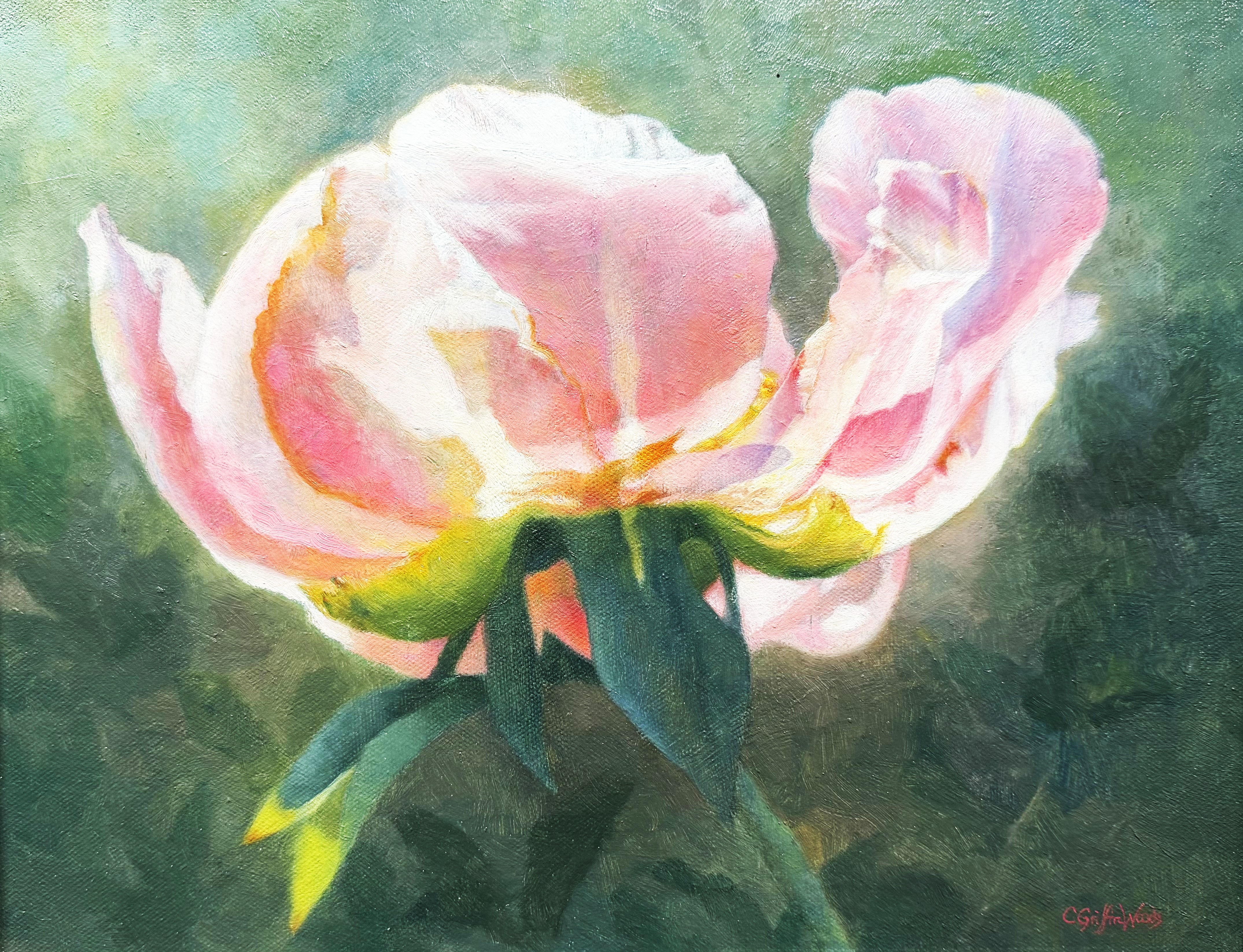 "Blooming" <br /> Oil, 12x16