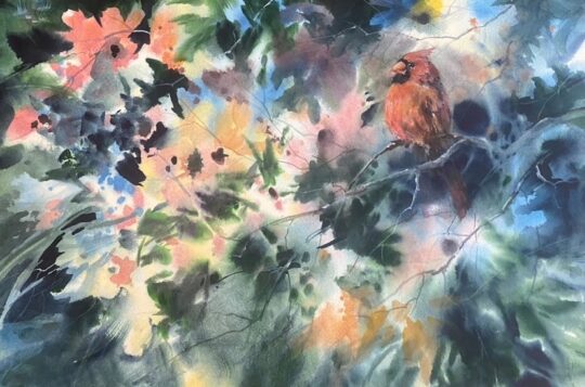 Brouwer Harmony (Cardinal)