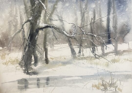 Brouwer Winter's Grey (Owl)