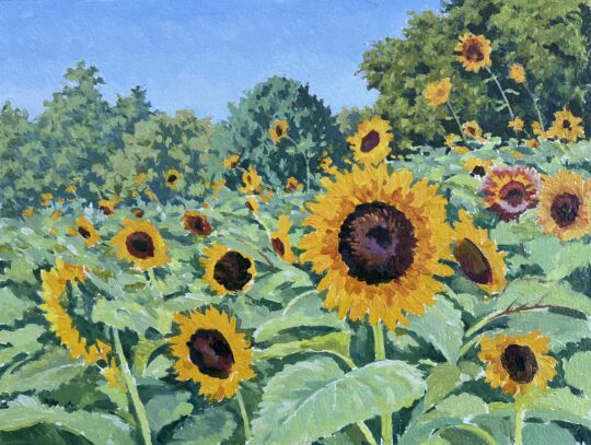 Sun Day