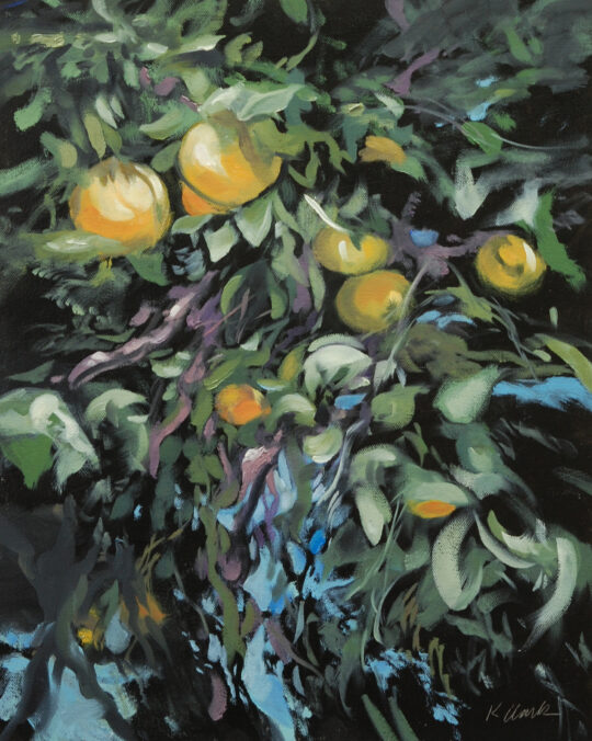 Orange Grove II
