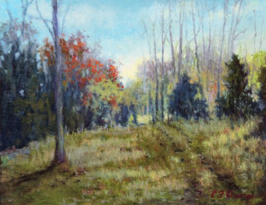 Cedars & Sassafrass Trees