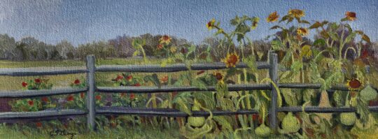 Sunflowers, Dahlias & Gourds