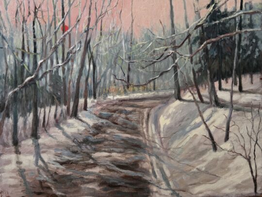 Wagontrail at Sunset