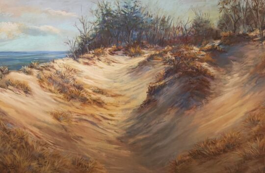 Wind Swept Indiana Dunes