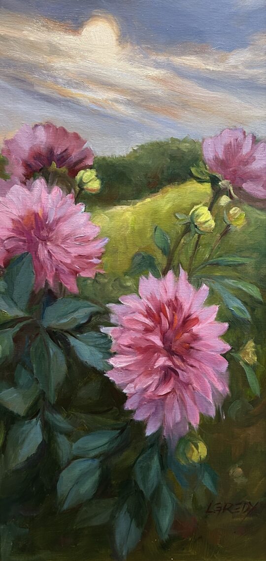 Dahlias