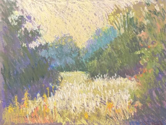 Field with White Flowers