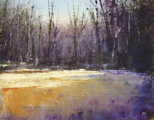 Snow Drift