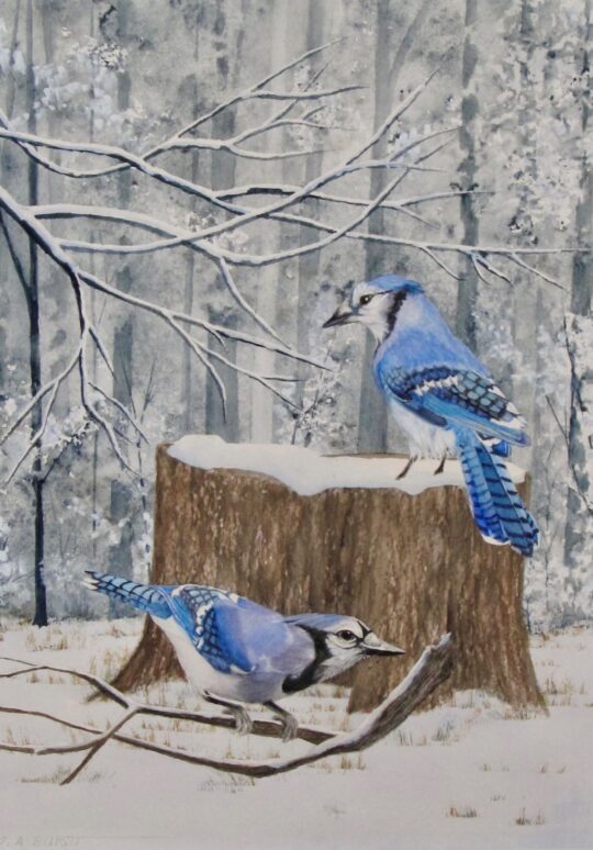 Accidental Rendezvous