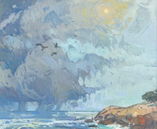 Flying at Sharks Mouth