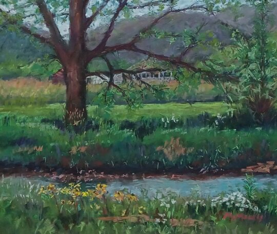 Big Oak on Owl Creek