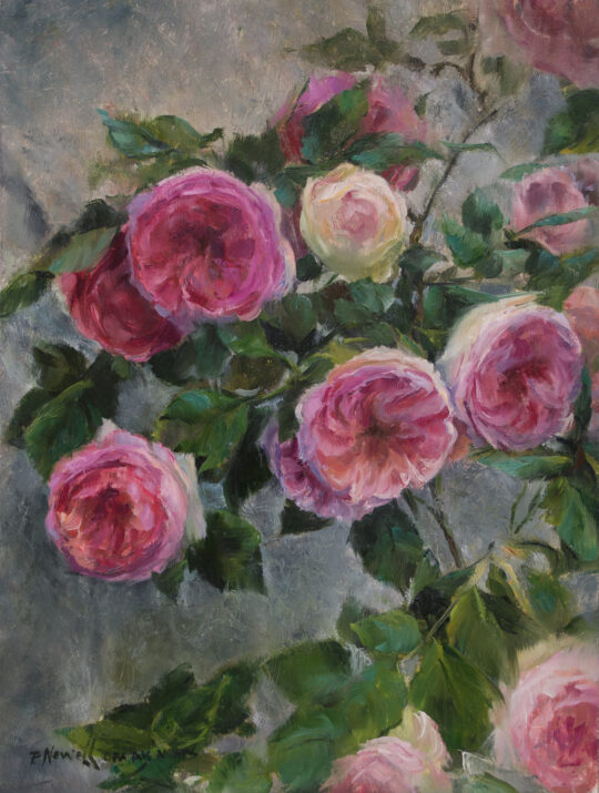 Pierre de Ronsard Roses