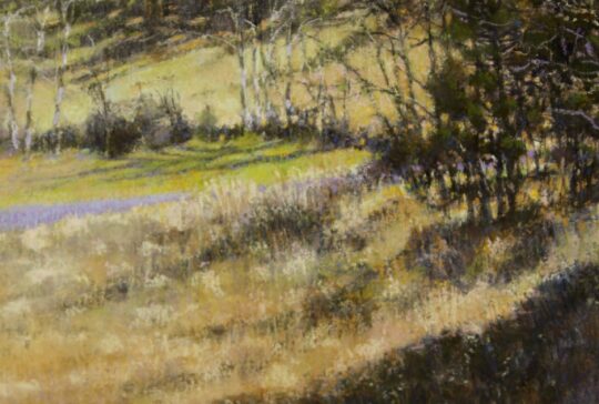 Spring Comes to the Holler