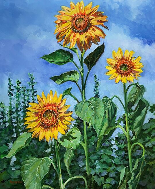 Guardians of the Garden