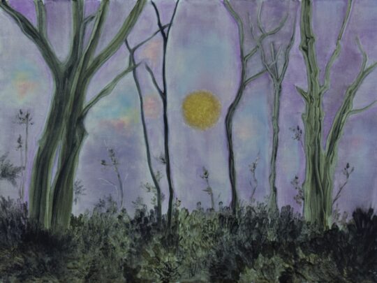 Landscape's Memories