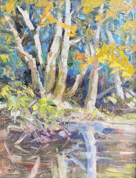 Trees Along White River