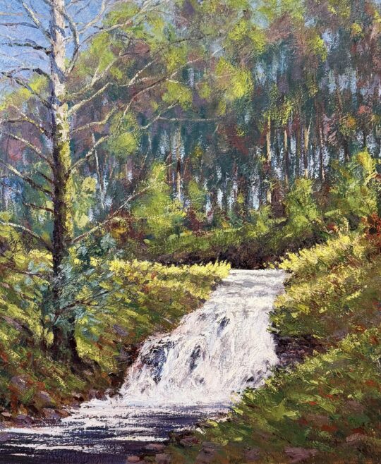 Brown County Stream